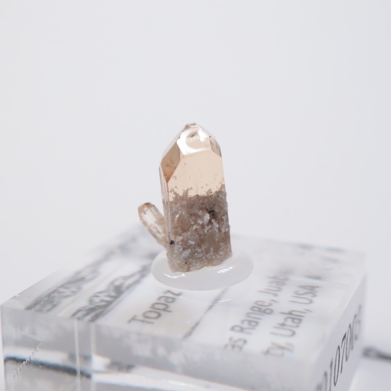 �楿�������ȥѡ���