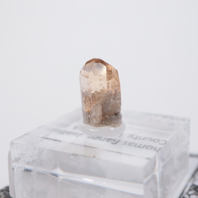 �楿�������ȥѡ���