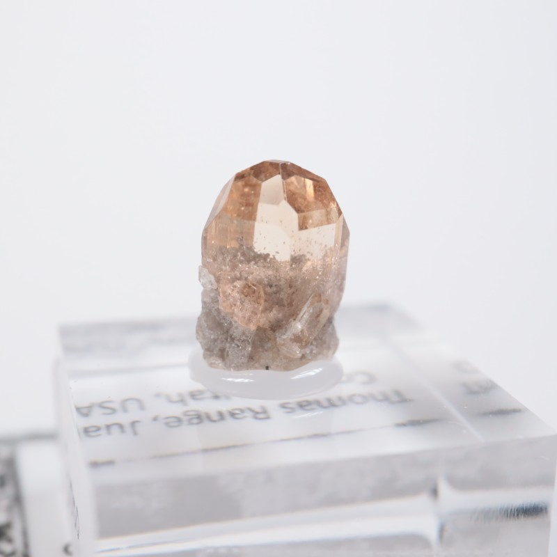 �楿�������ȥѡ���