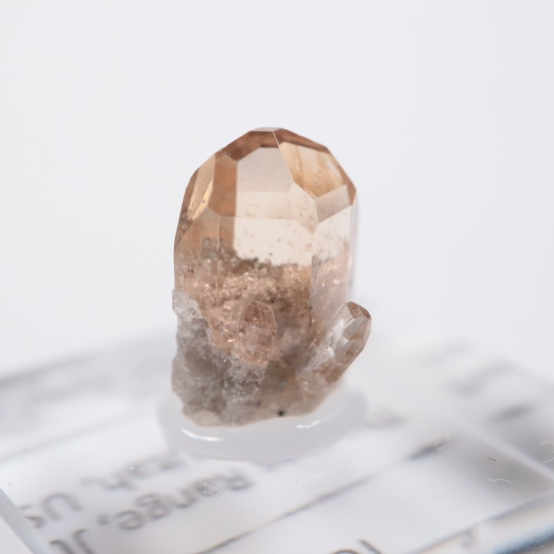 �楿�������ȥѡ���