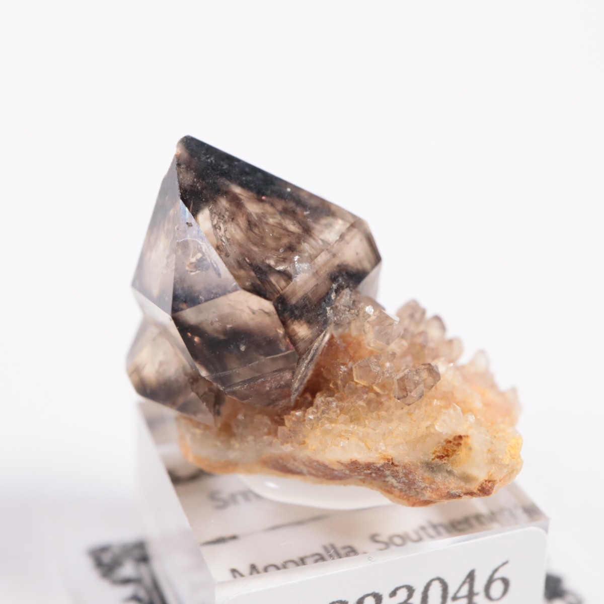 �������ȥ�ꥢ�� ����徽