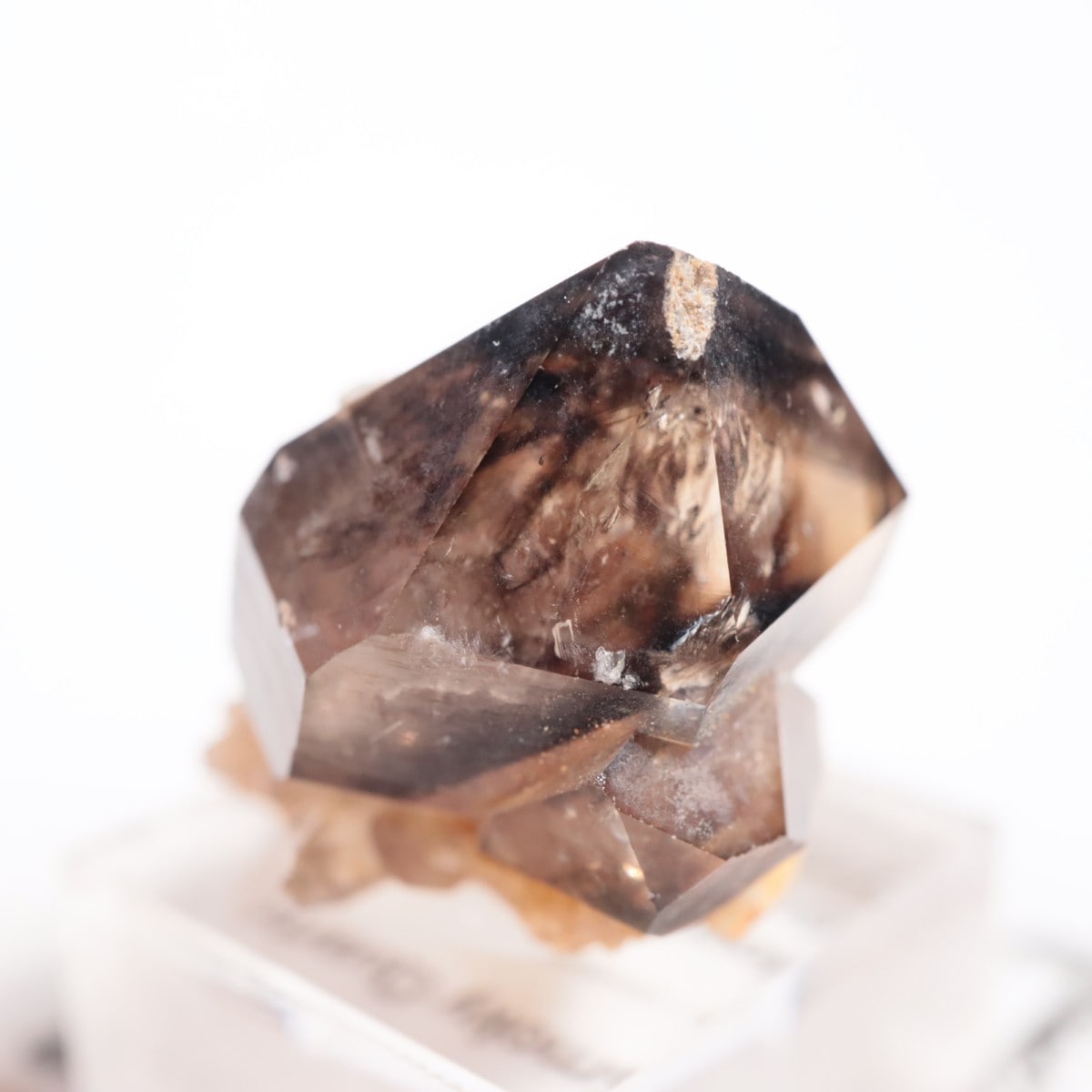 �������ȥ�ꥢ�� ����徽