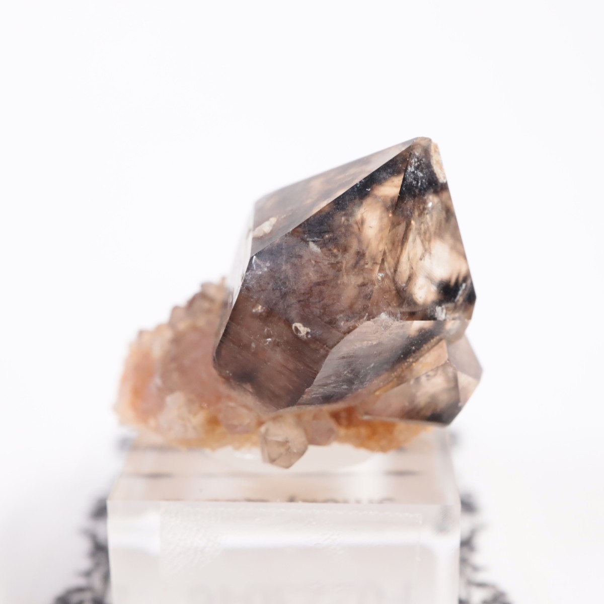 �������ȥ�ꥢ�� ����徽