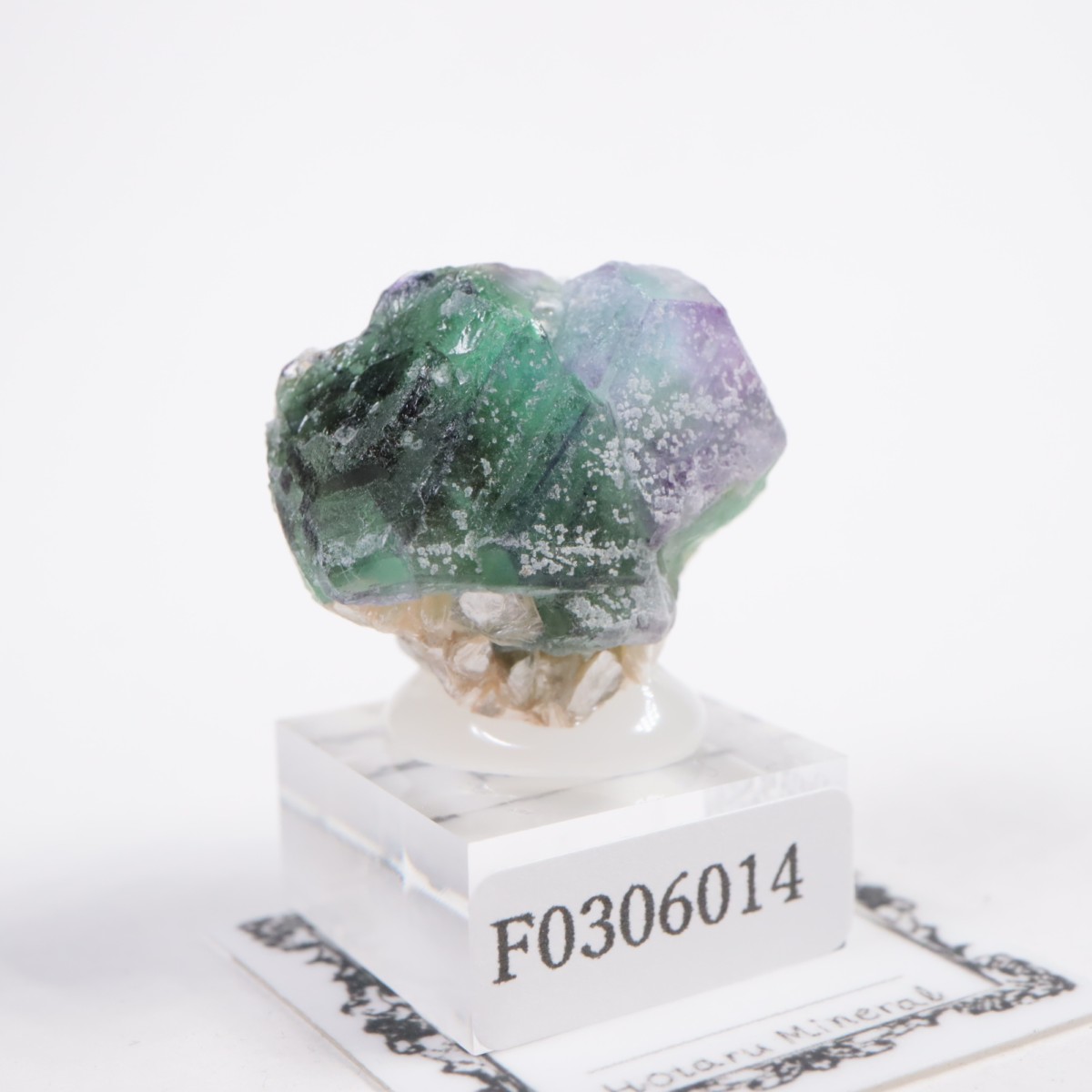 �����󥴹ۻ��� �ե����饤��