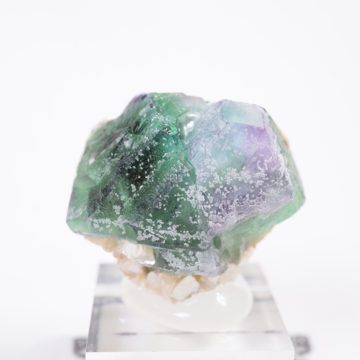 �����󥴹ۻ��� �ե����饤��