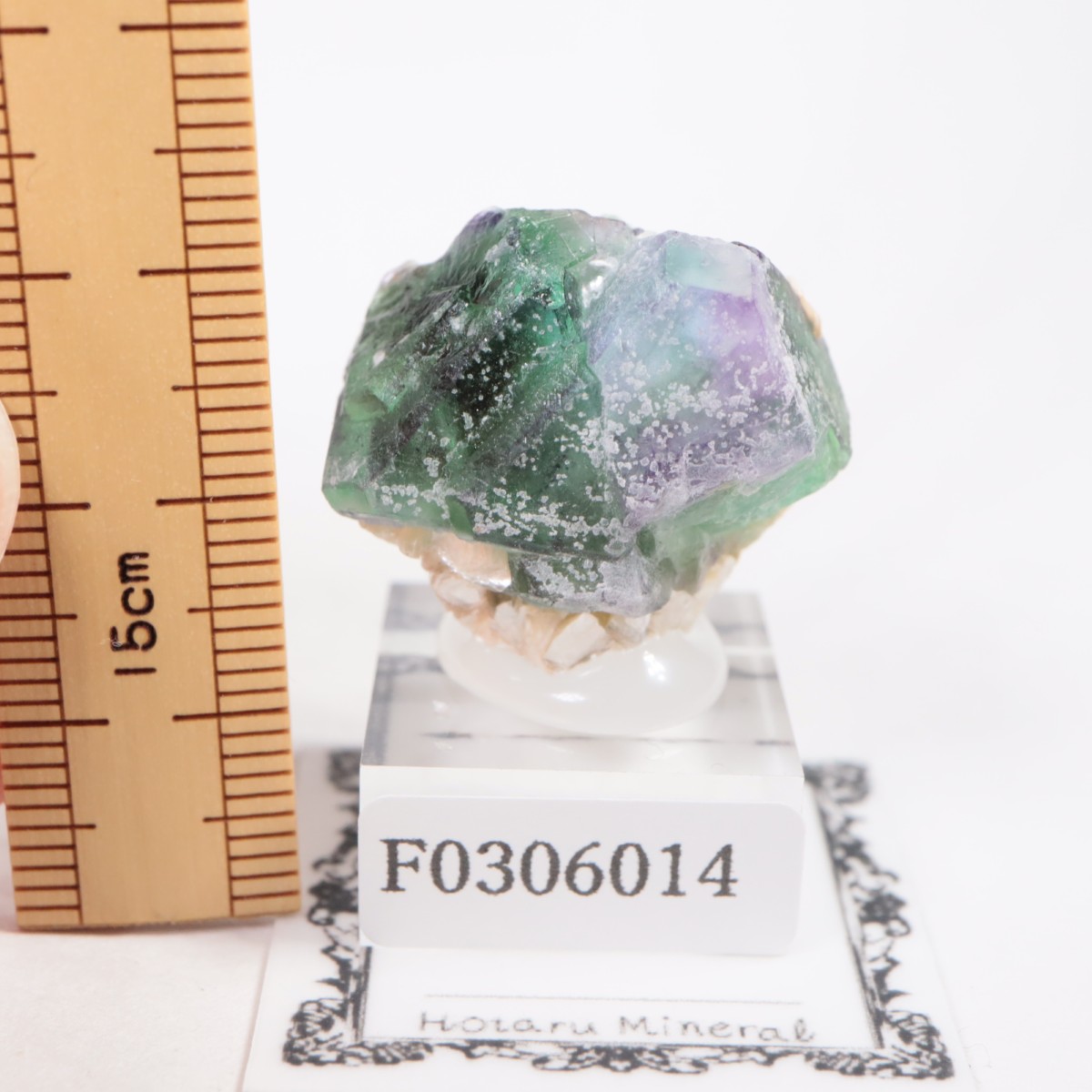 �����󥴹ۻ��� �ե����饤��