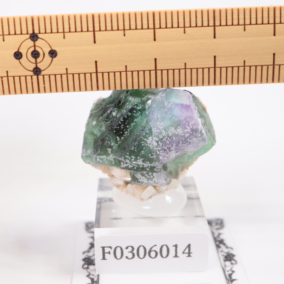 �����󥴹ۻ��� �ե����饤��