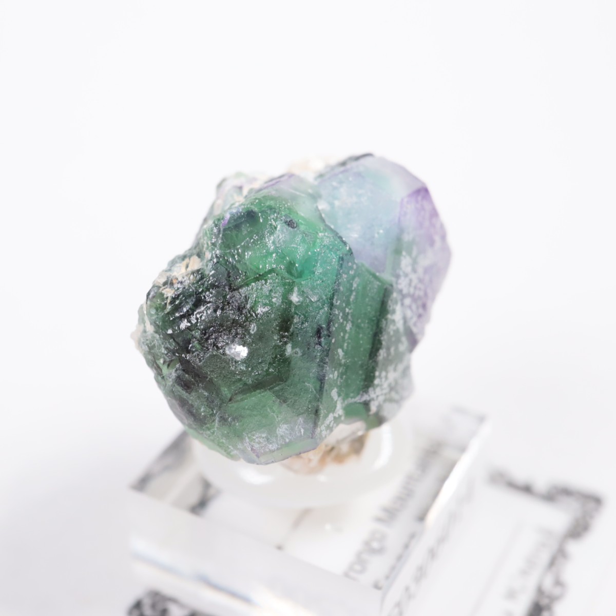 �����󥴹ۻ��� �ե����饤��