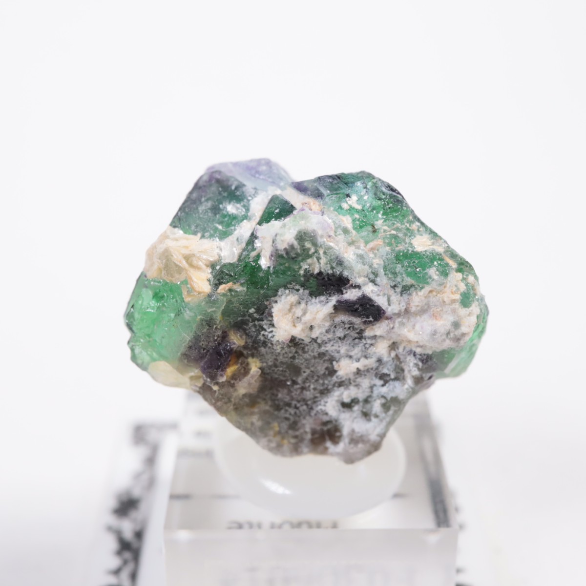 �����󥴹ۻ��� �ե����饤��