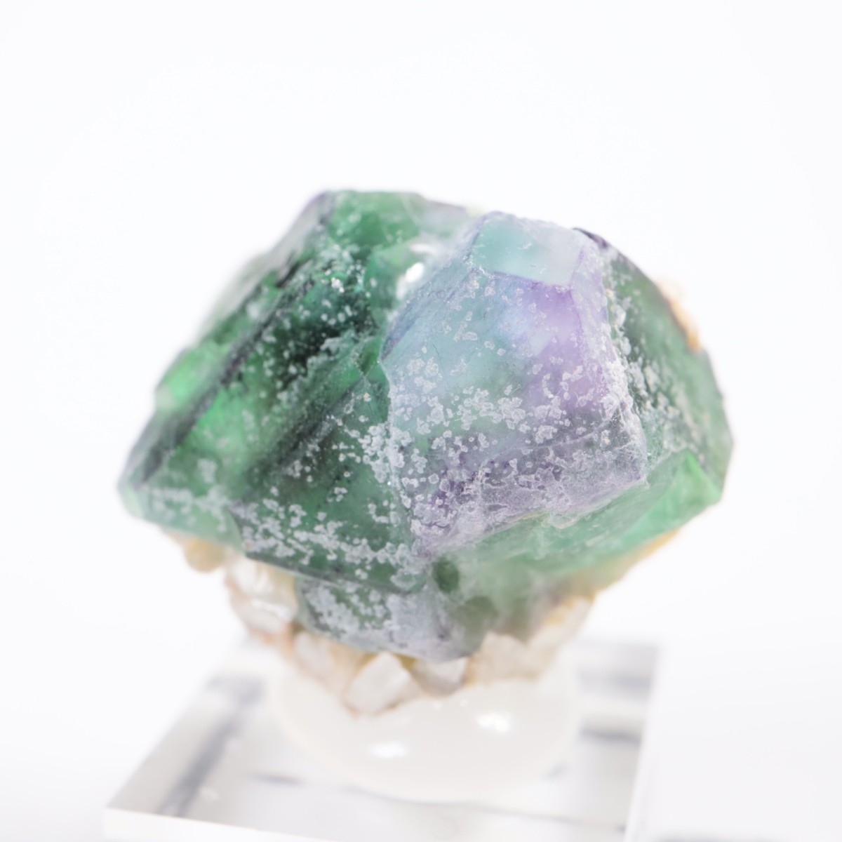 �����󥴹ۻ��� �ե����饤��