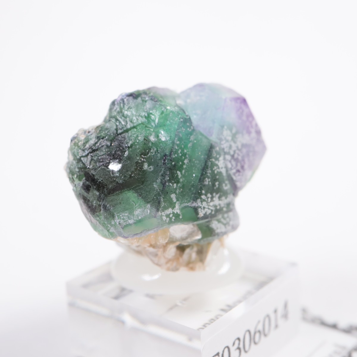 �����󥴹ۻ��� �ե����饤��