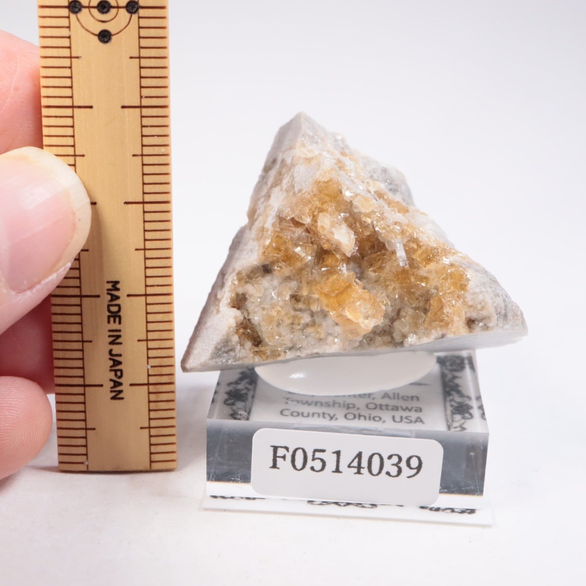 ���ϥ����� �ե����饤��