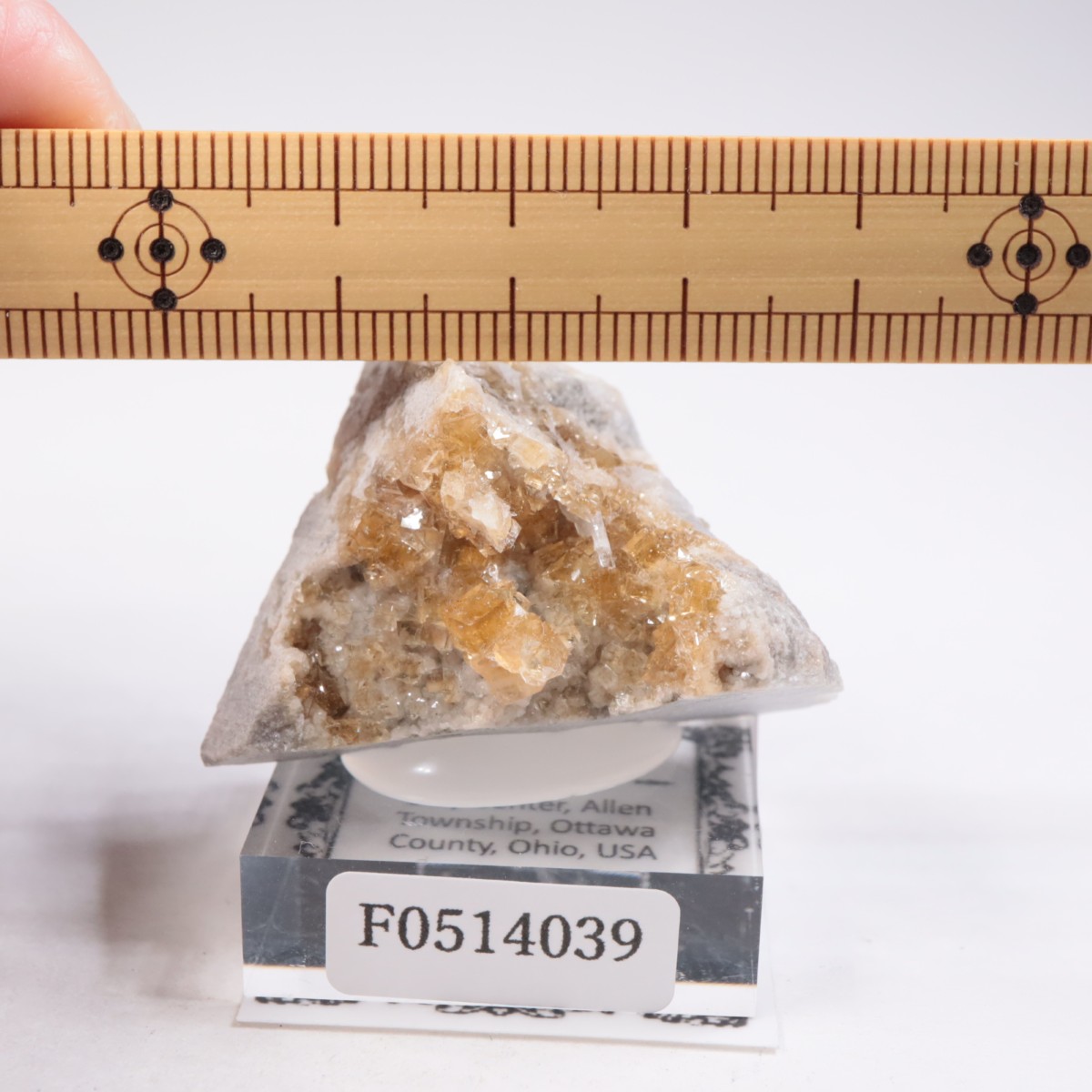 ���ϥ����� �ե����饤��