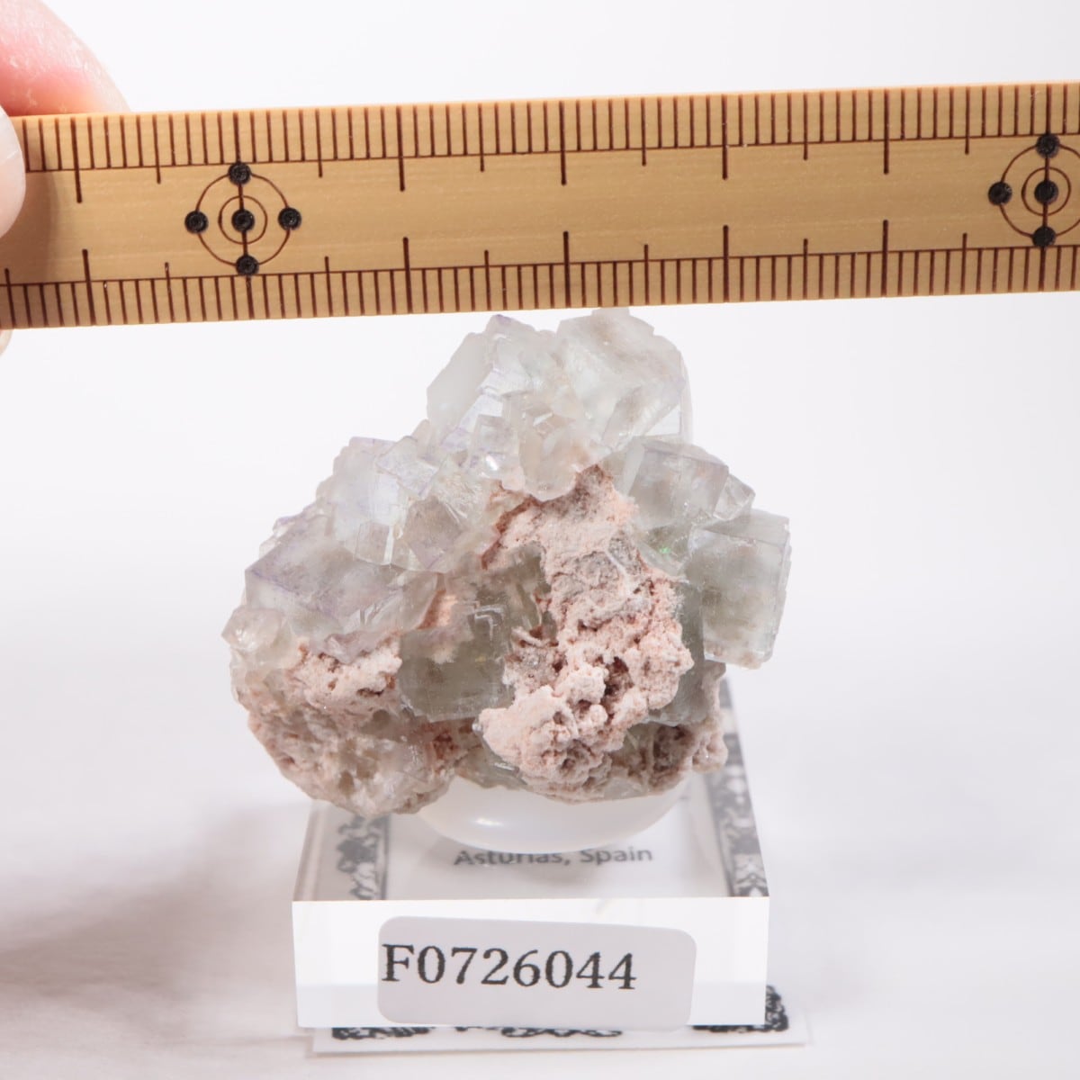 ���ڥ��� �ե����饤��