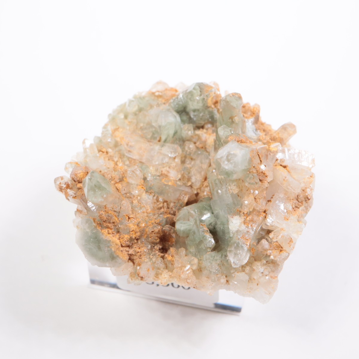 �ѥ������� �������饤�ȥ��󥯥�����