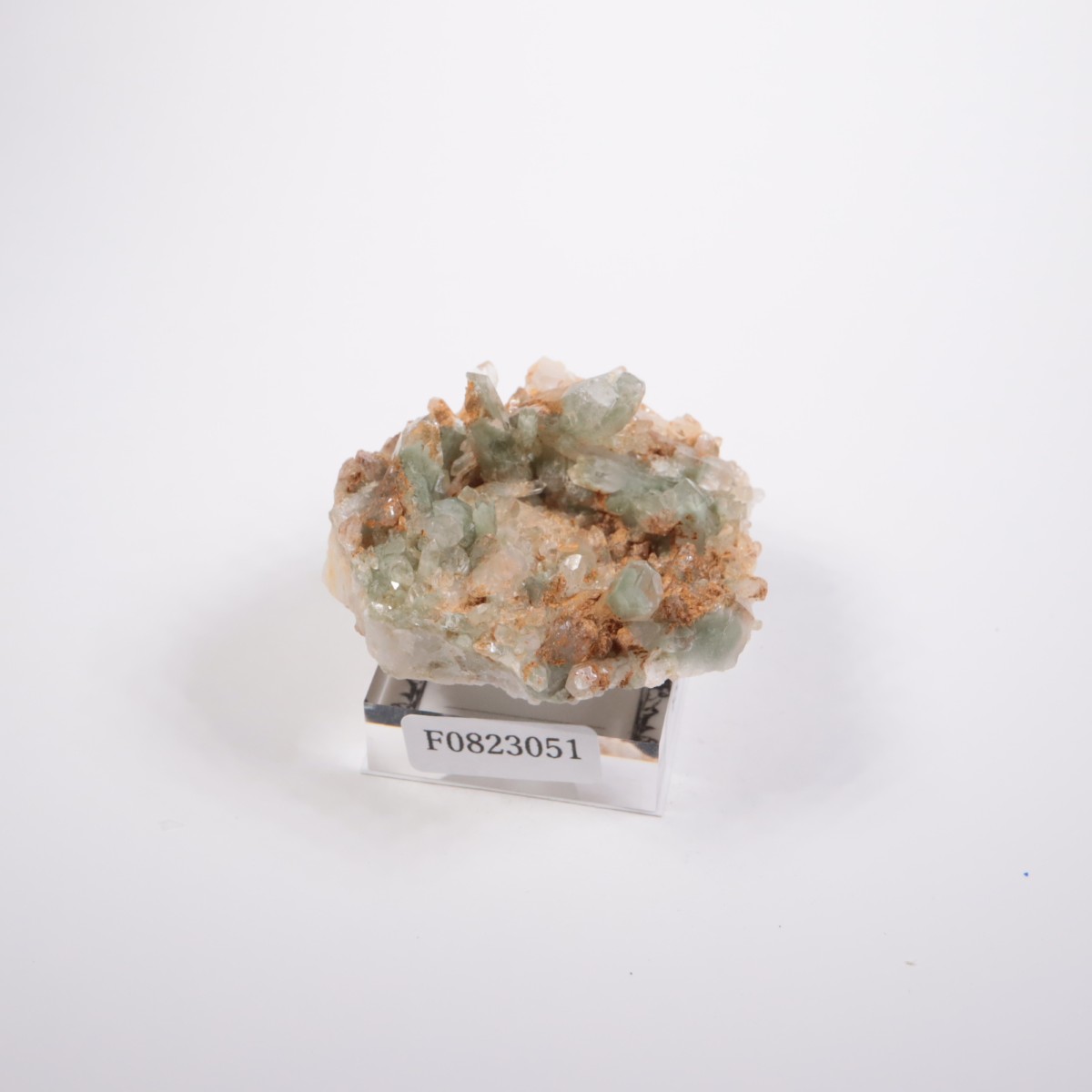 �ѥ������� �������饤�ȥ��󥯥�����