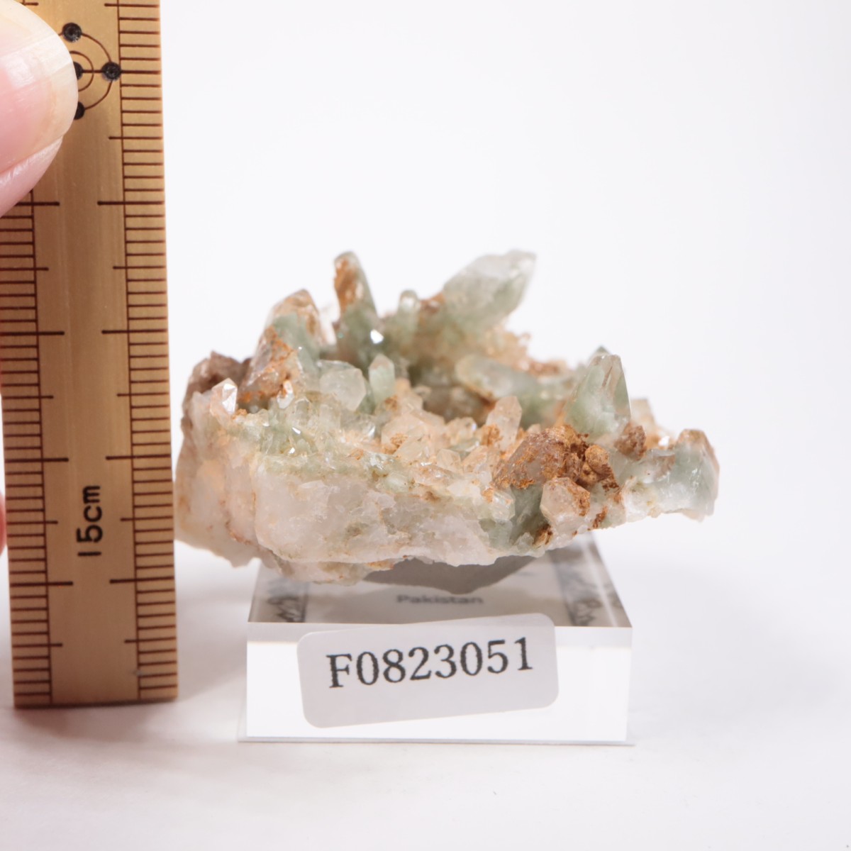 �ѥ������� �������饤�ȥ��󥯥�����