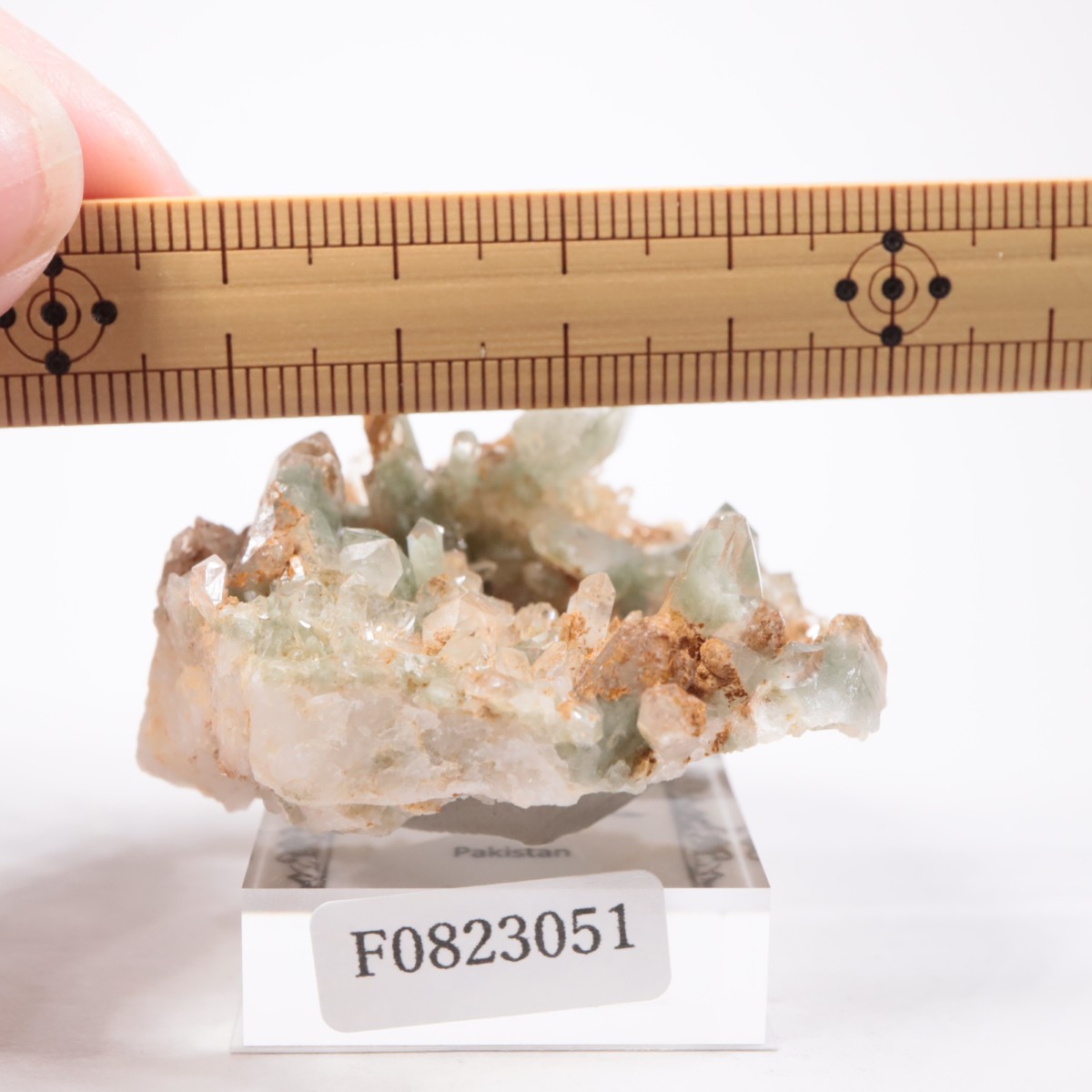 �ѥ������� �������饤�ȥ��󥯥�����