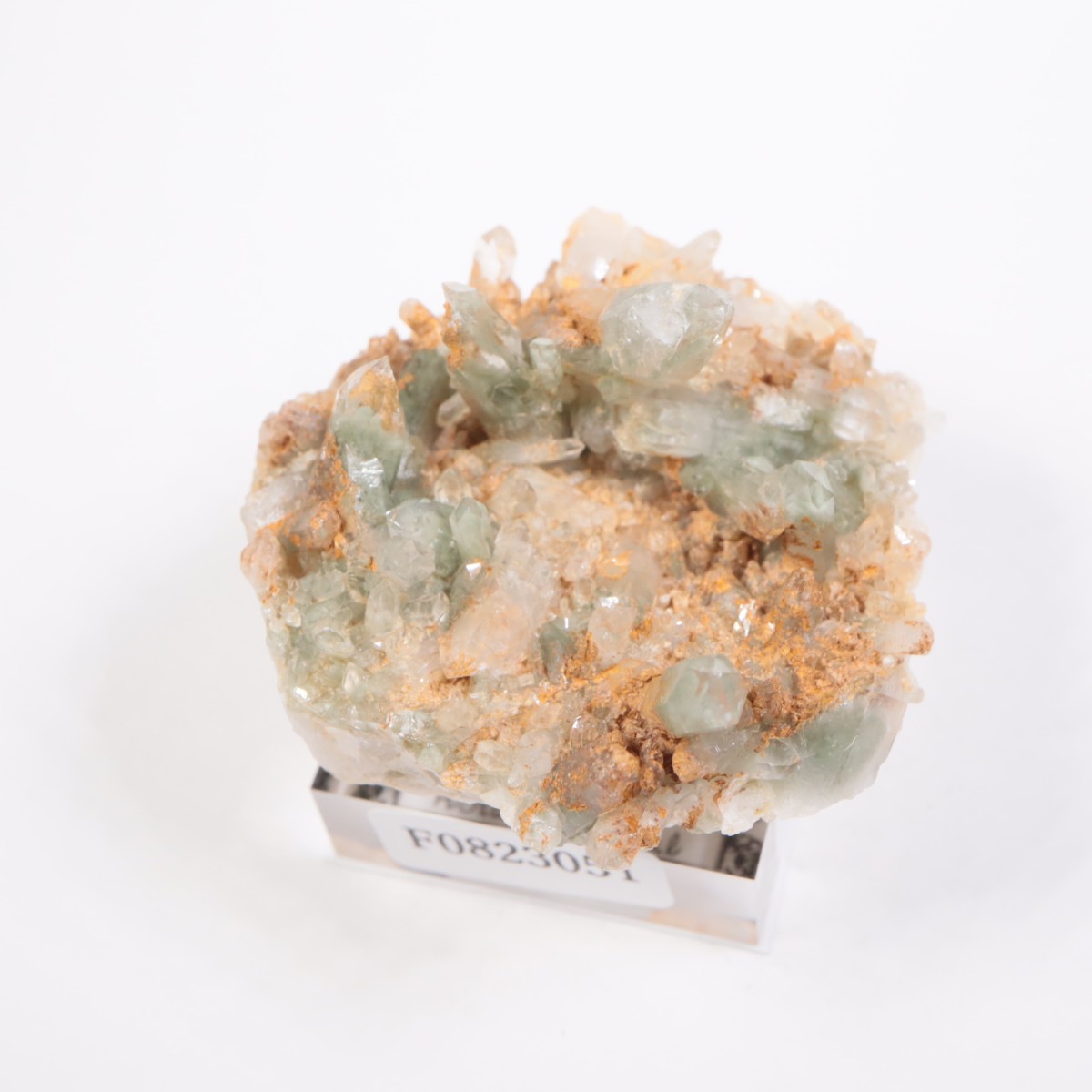 �ѥ������� �������饤�ȥ��󥯥�����