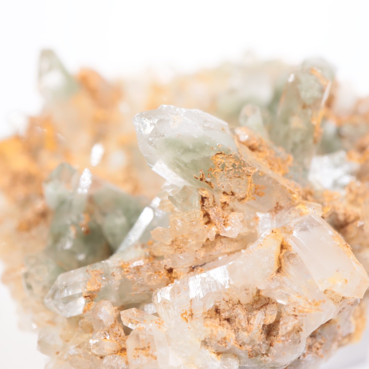 �ѥ������� �������饤�ȥ��󥯥�����