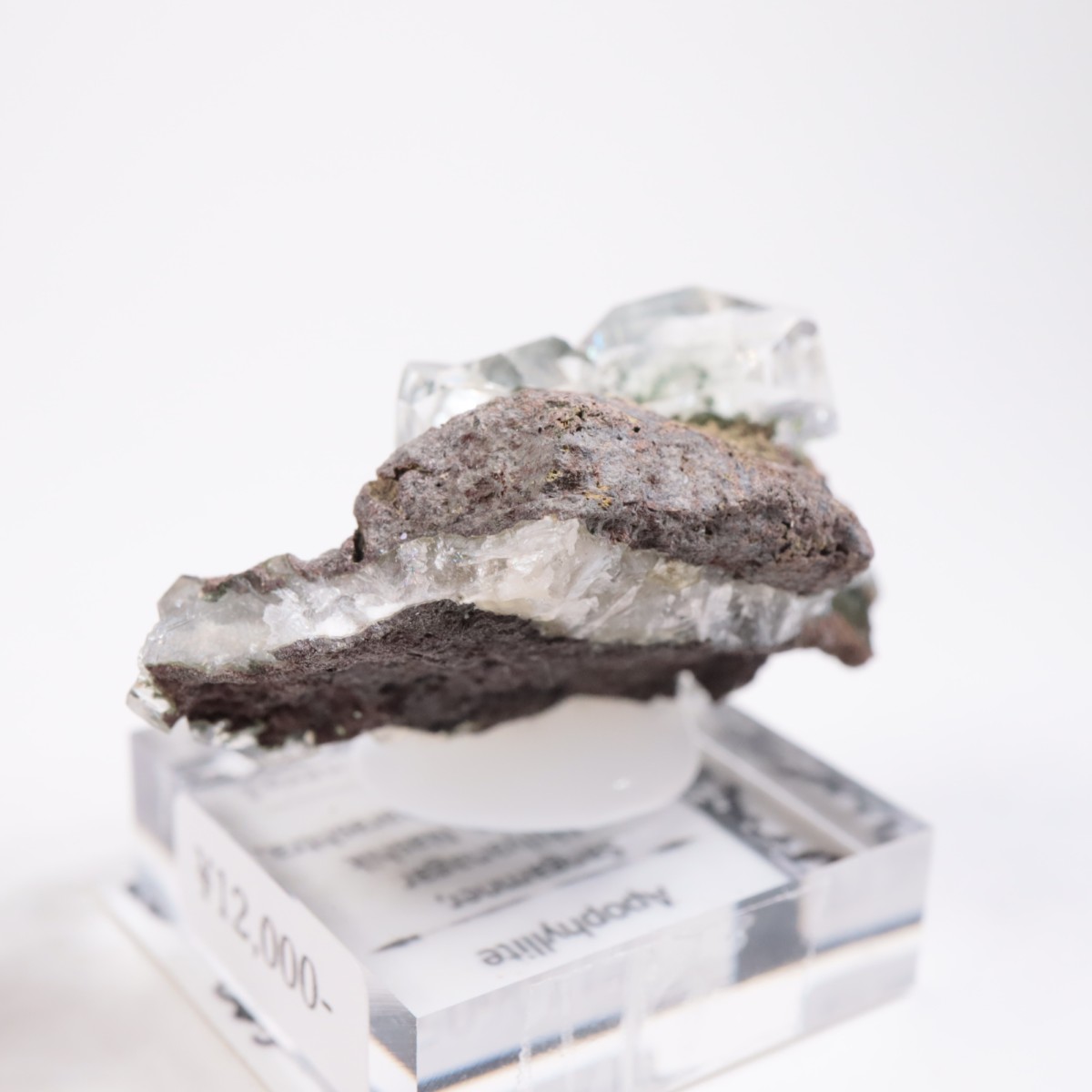 ����ɻ� ���ݥե��饤��