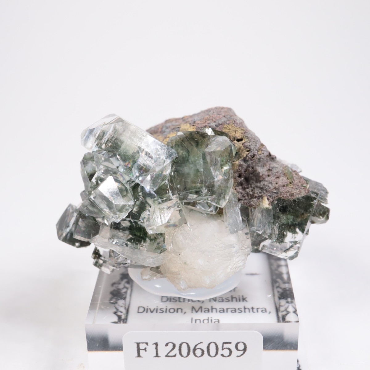 ����ɻ� ���ݥե��饤��