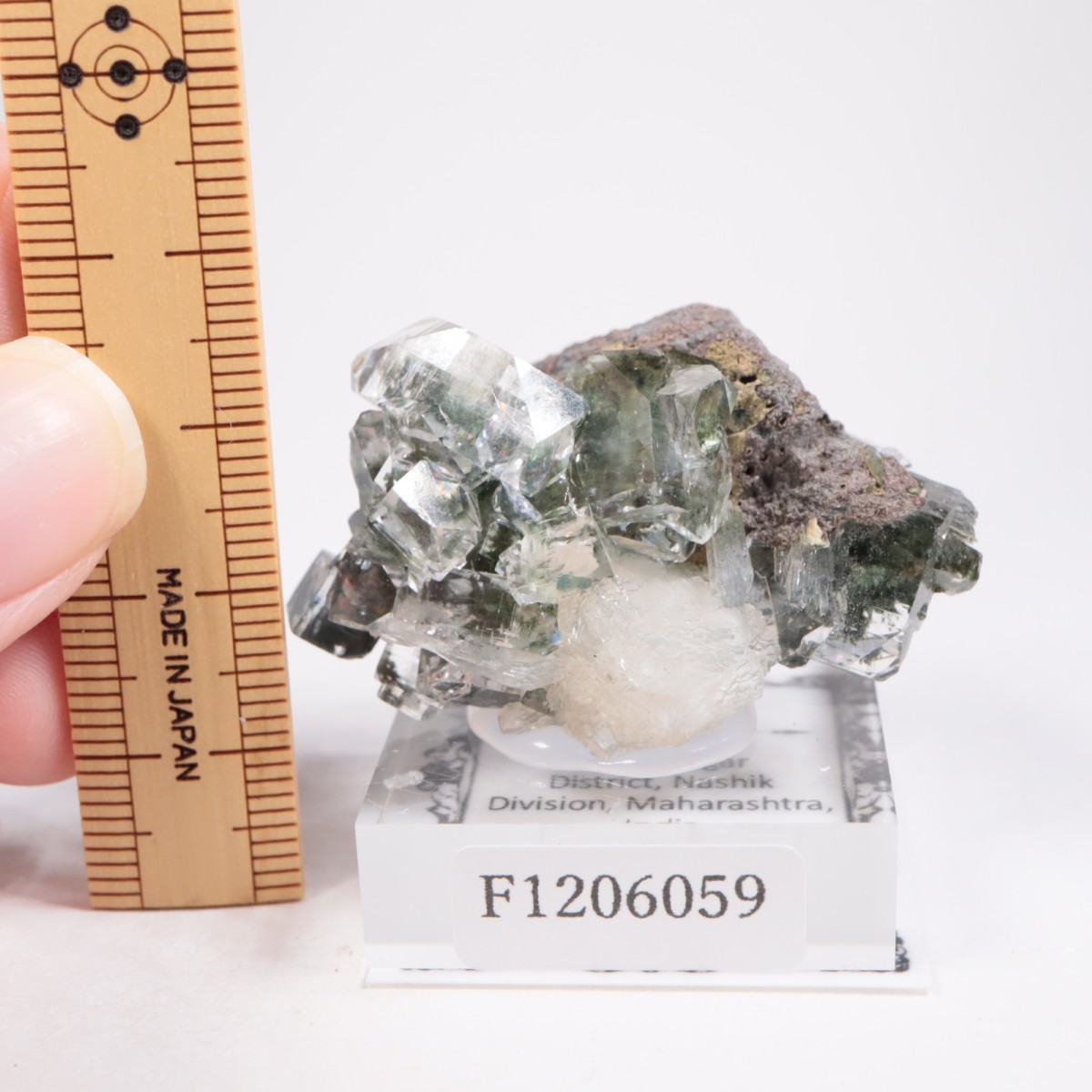 ����ɻ� ���ݥե��饤��