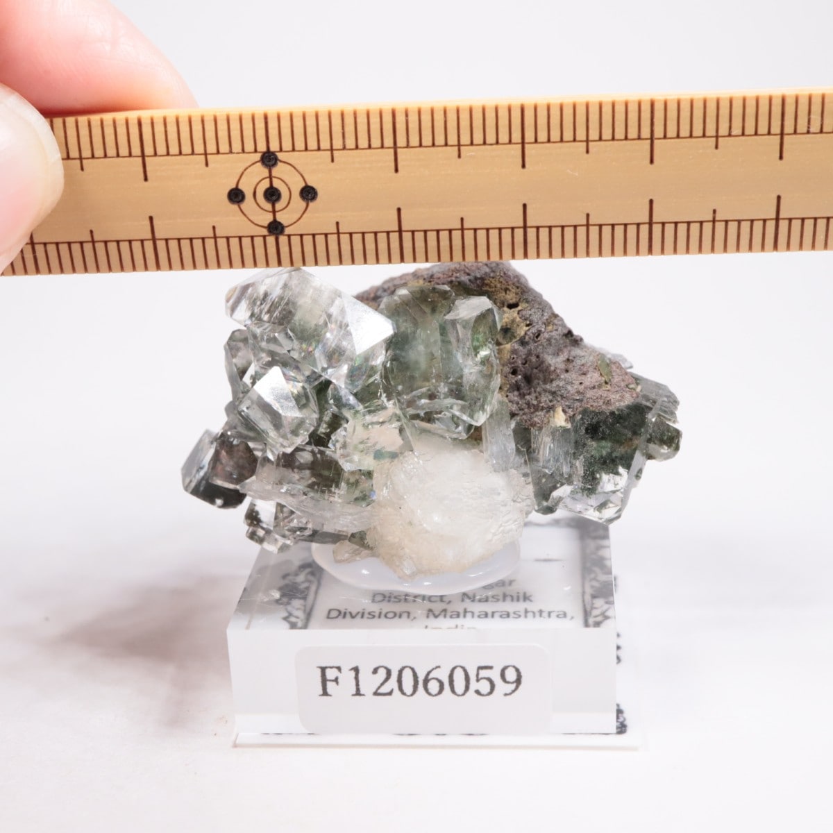 ����ɻ� ���ݥե��饤��