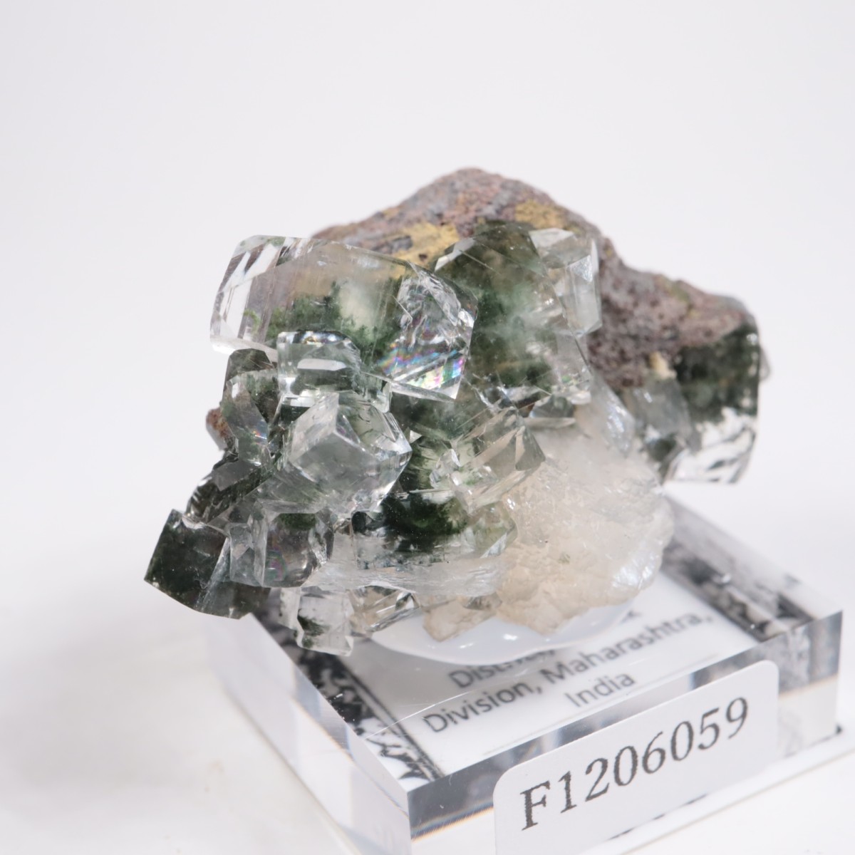 ����ɻ� ���ݥե��饤��