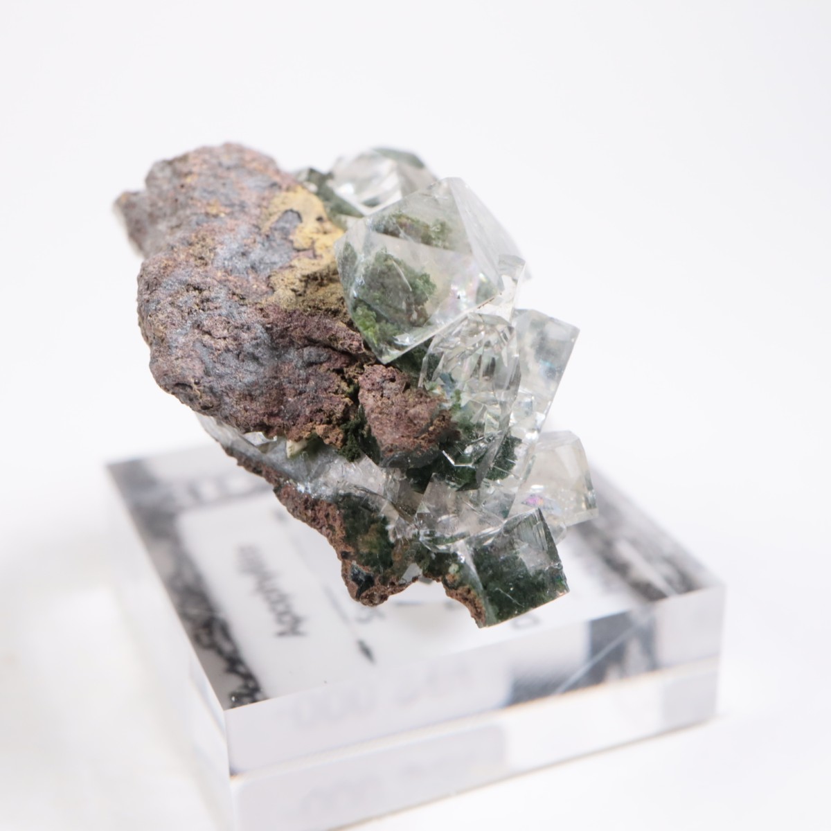 ����ɻ� ���ݥե��饤��