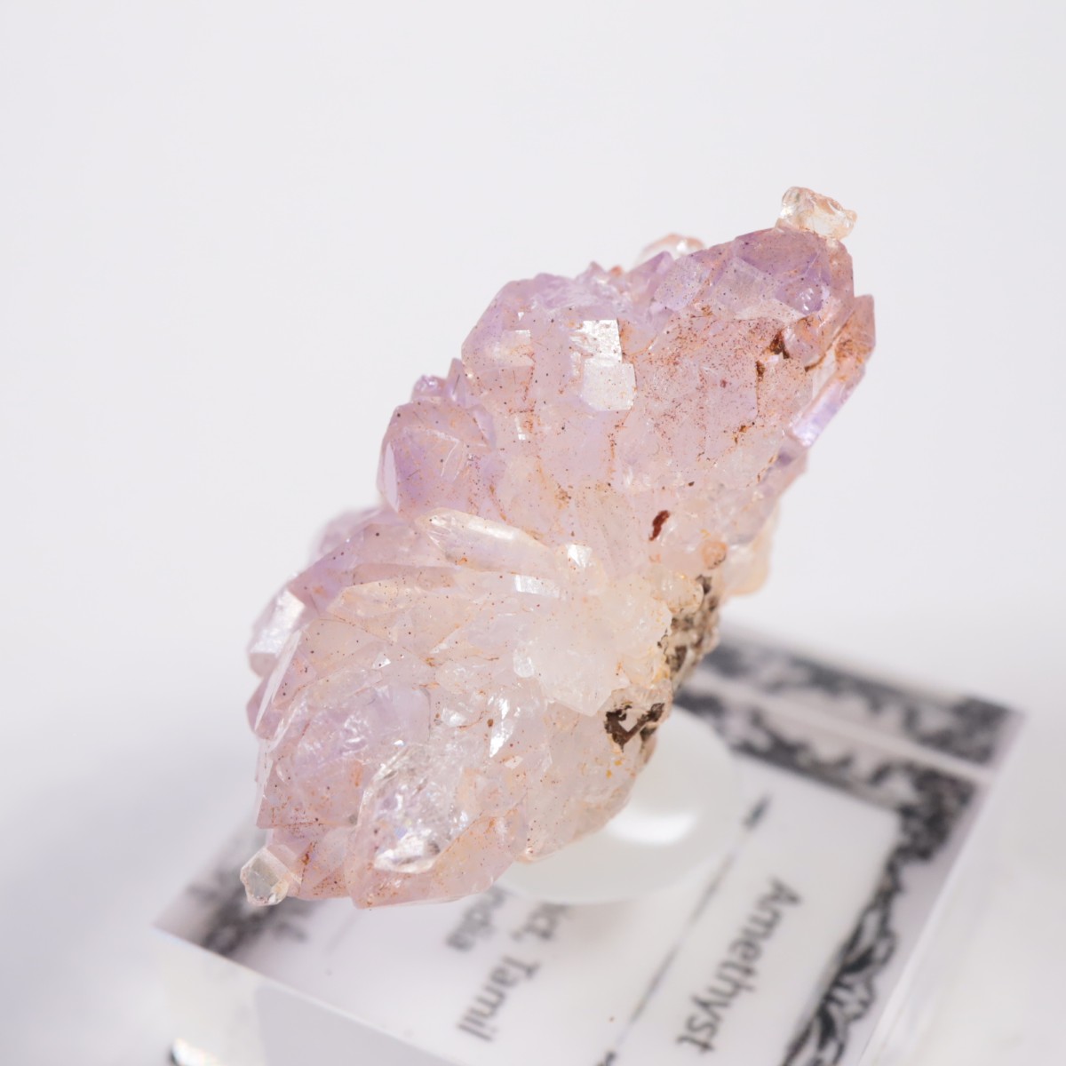 ����ɻ� �ե����᥷����