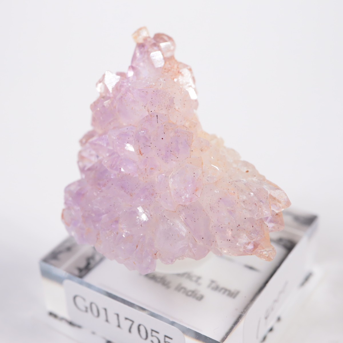 ����ɻ� �ե����᥷����