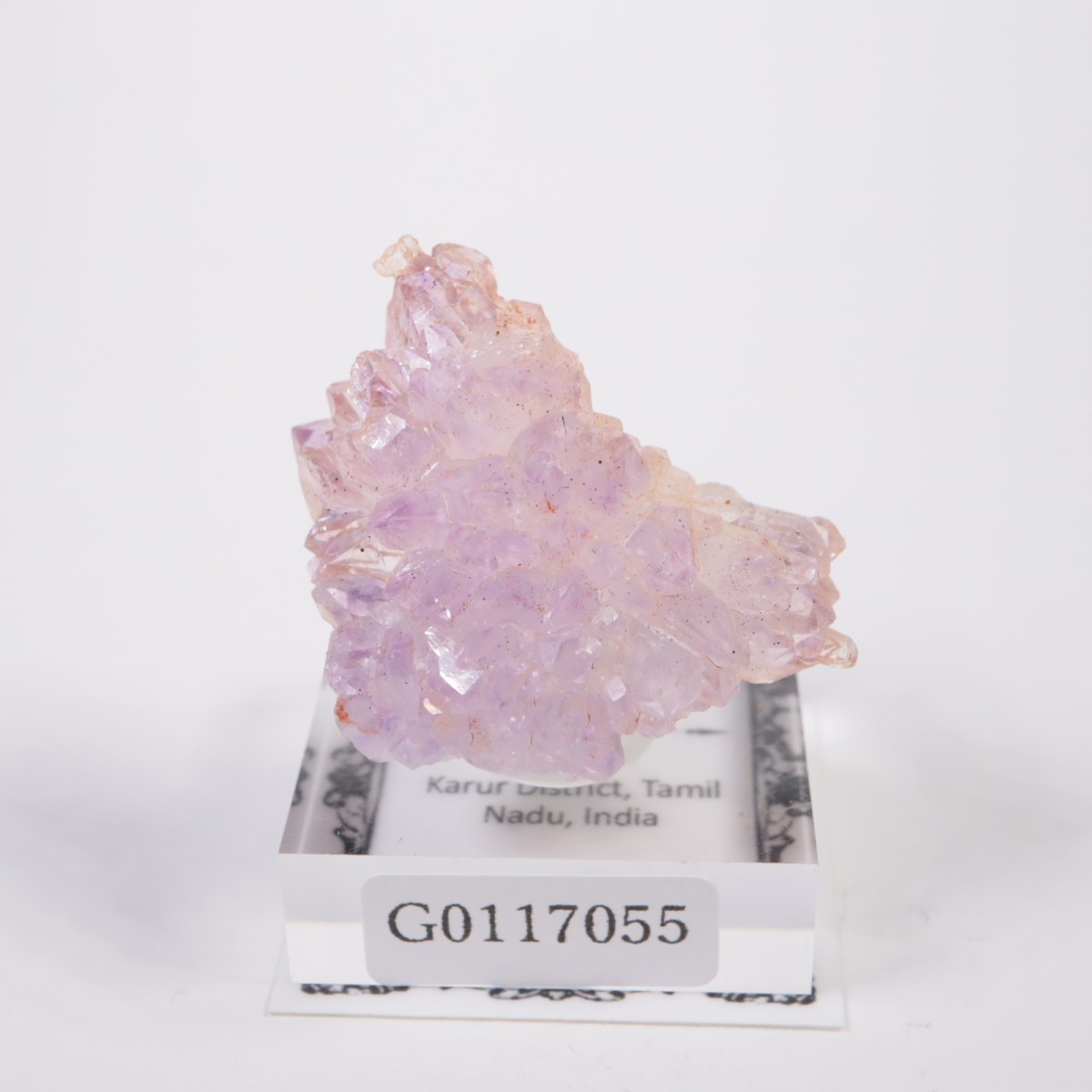 ����ɻ� �ե����᥷����