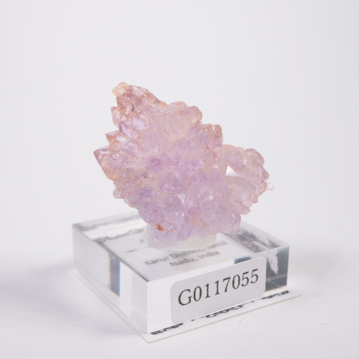 ����ɻ� �ե����᥷����