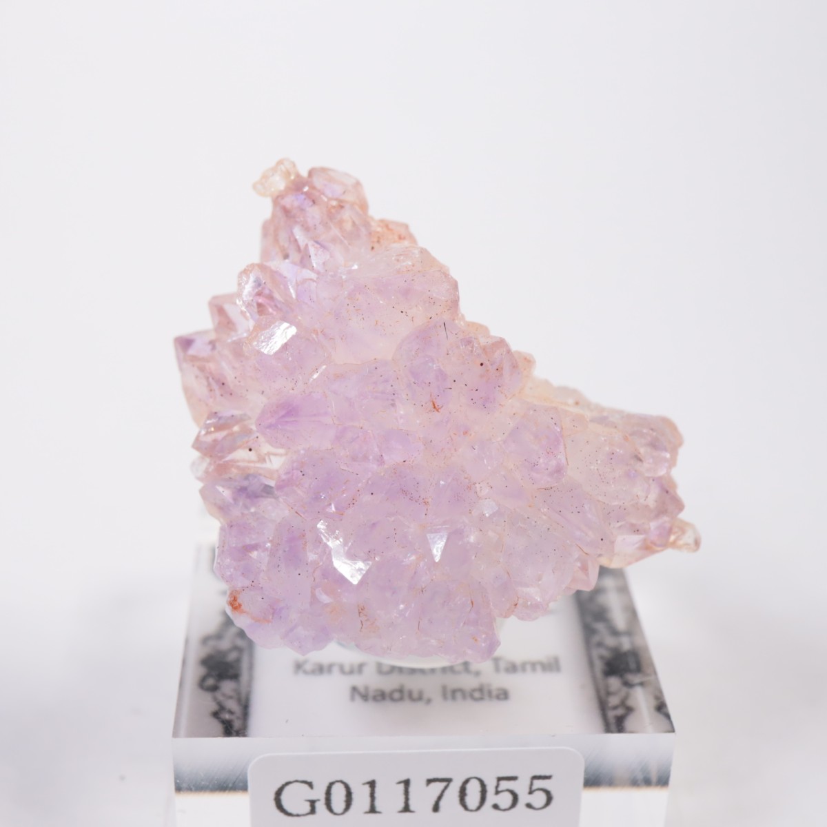 ����ɻ� �ե����᥷����