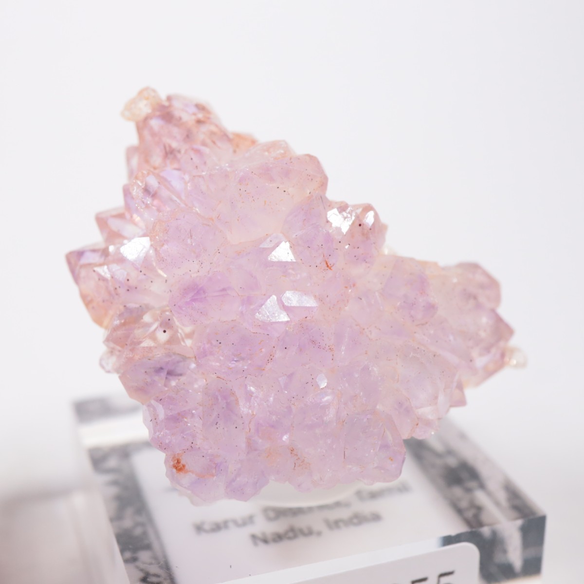 ����ɻ� �ե����᥷����