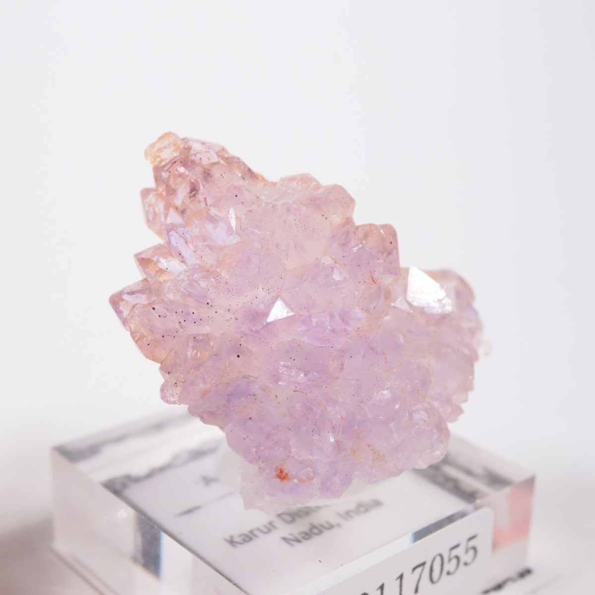 ����ɻ� �ե����᥷����