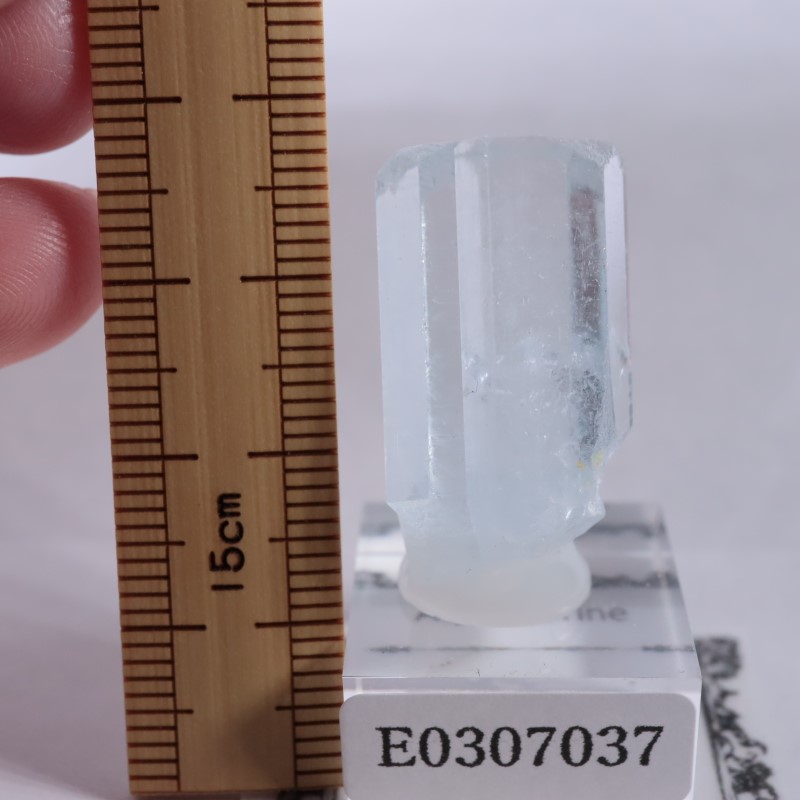 �ѥ������󻺡��������ޥ��