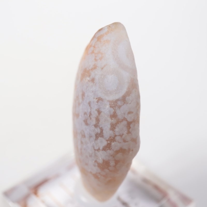 ��� ���ӥ�������