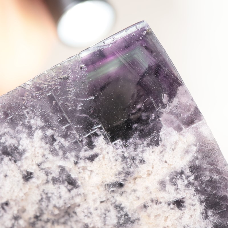 �����ꥹ�� �ե����饤��