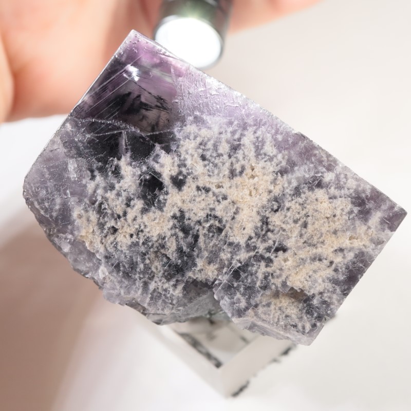 �����ꥹ�� �ե����饤��