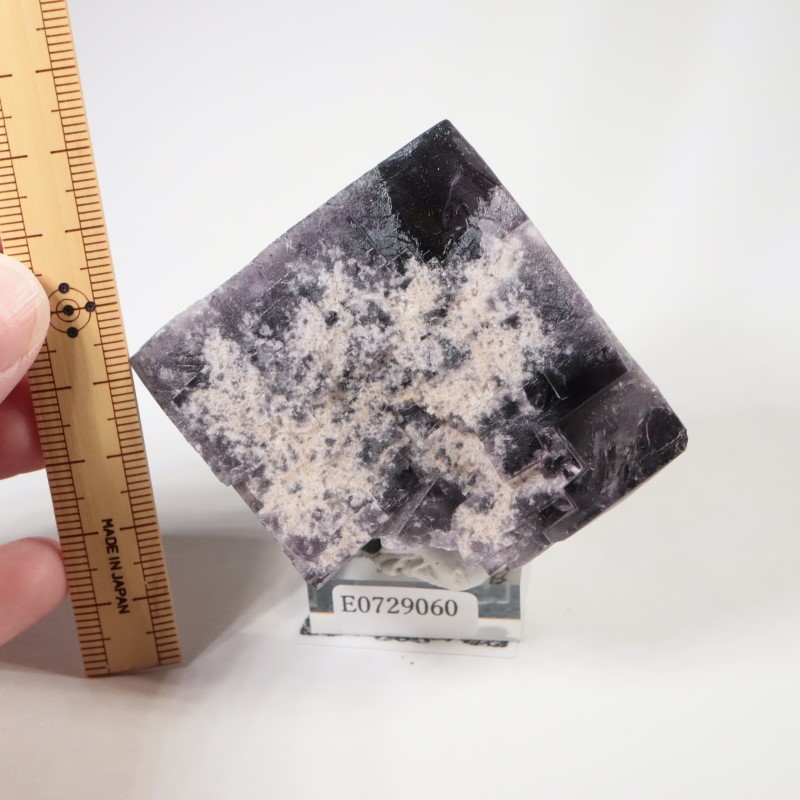 �����ꥹ�� �ե����饤��