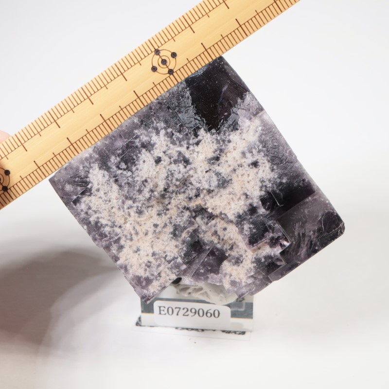 �����ꥹ�� �ե����饤��