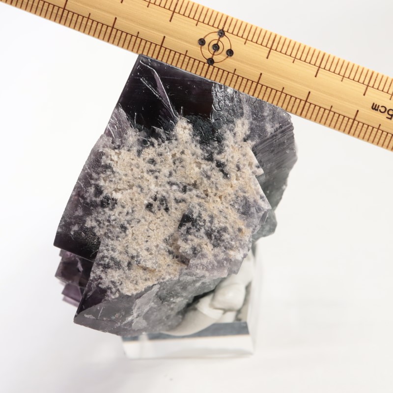 �����ꥹ�� �ե����饤��