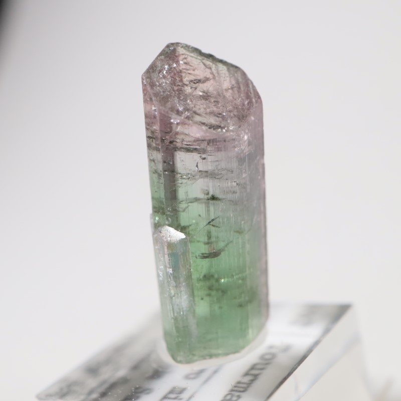 �֥饸�뻺 �ȥ�ޥ��