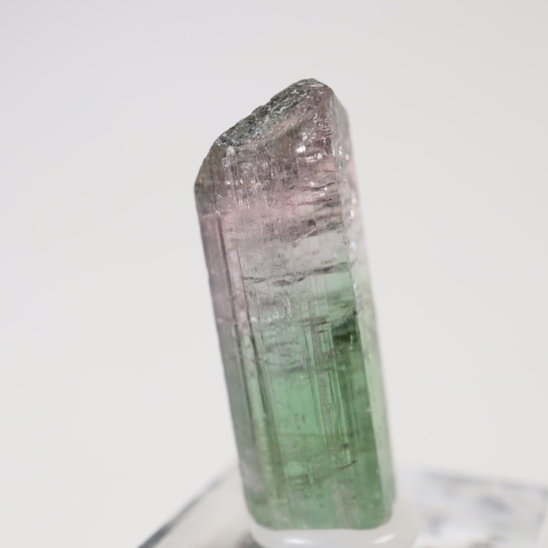 �֥饸�뻺 �ȥ�ޥ��