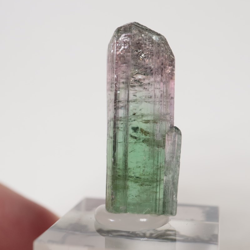 �֥饸�뻺 �ȥ�ޥ��