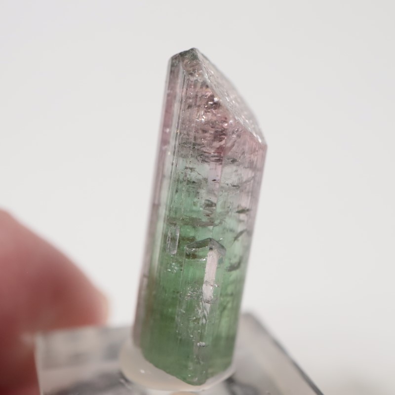 �֥饸�뻺 �ȥ�ޥ��