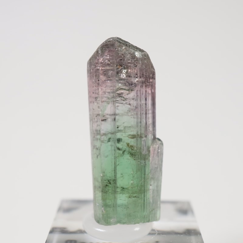 �֥饸�뻺 �ȥ�ޥ��