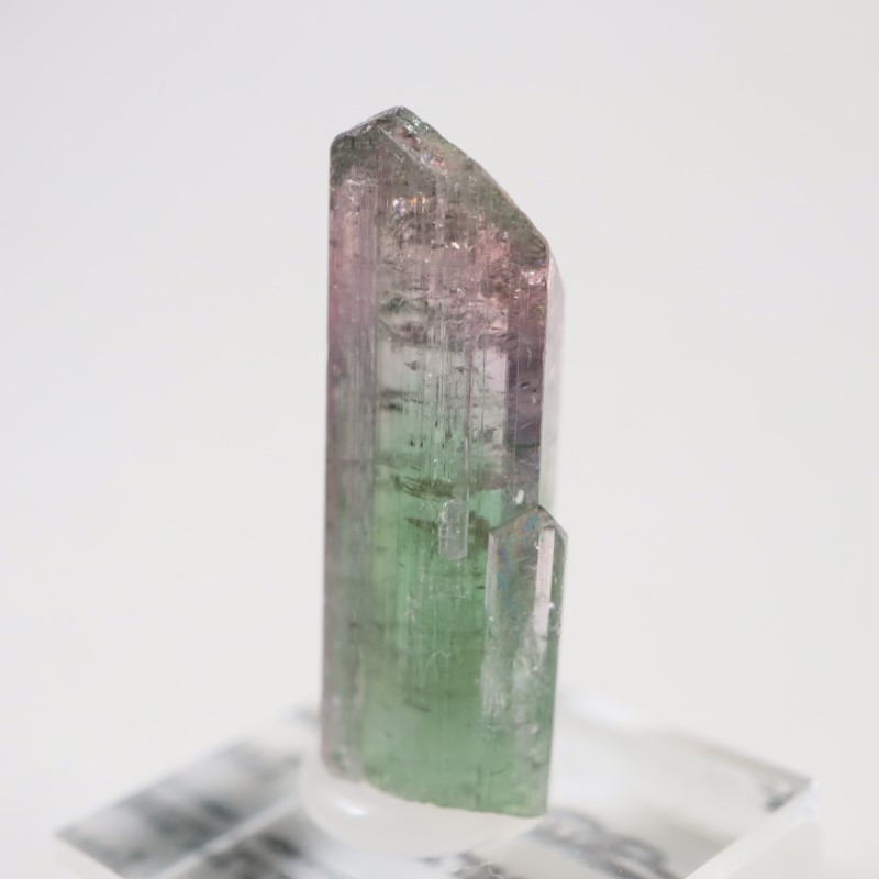 �֥饸�뻺 �ȥ�ޥ��